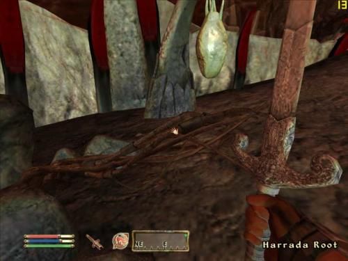 oblivion 232454,2
